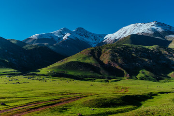 Picturesque mountain landscape with snow peaks in summer