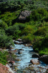 Mountain river summer landscape