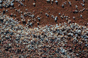 Small shells on sand on the beach