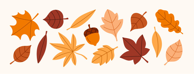 Fototapeta premium Set of autumn leaves, an acorn. Vector illustration