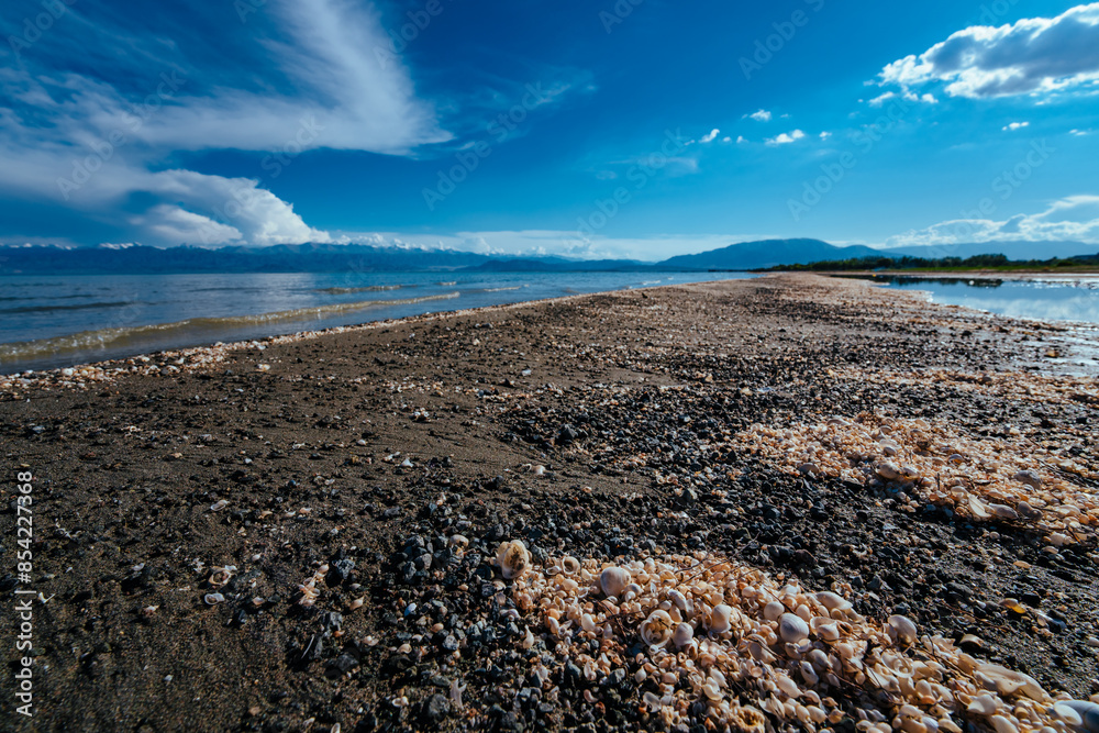 Wall mural Lake shore with small shells, summer picturesque landscape