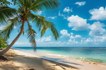 Pristine tropical beach paradise with a lone palm tree swaying over the clear blue ocean waters under a sunny sky