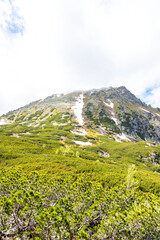 Obraz premium nature and Tatra mountains in Poland during the summer day