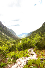 nature and Tatra mountains in Poland during the summer day
