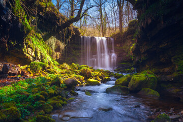 Obraz premium Waterfall in the forest