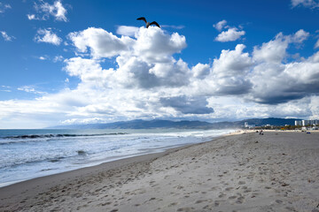 Obraz premium Scenic view of Venice Beach, Los Angeles, California, USA