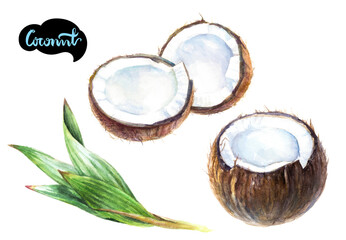 A still life composition with ripe coconuts and palm leaves placed on a clean white background