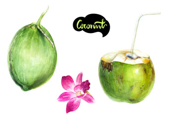 Savor the taste of Fresh Green Coconuts adorned with a Purple Orchid and the words Coconut
