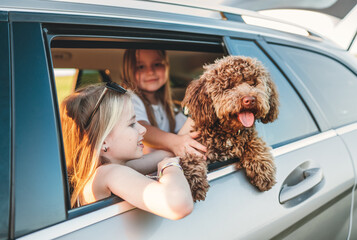 Fluffy brown Maltipoo dog looking out from an open car window, with little girls sitting in the...