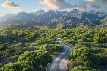 Scenic Mountain Road Winding Through Lush Green Forest with Majestic Rocky Peaks in the Distance under a Cloud Dotted Sky