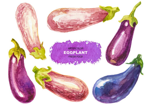Vector watercolor painted eggplants clipart. Hand drawn fresh food design elements isolated on white background.