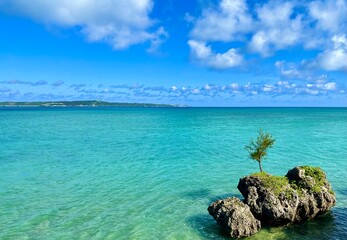 南国　青い海　観光