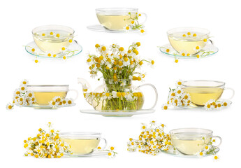 Delicious herbal tea in dishware and chamomile flowers on white background, set