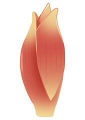 みょうがのイラスト（主線なし）