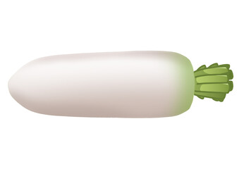 大根のイラスト（主線なし）