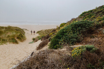 Two poeple walking on a sandy trail out to the ocean beach on a foggy day. Point Reyes, Marin, Califormia, USA.