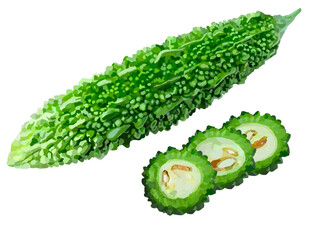 ゴーヤ（1本とスライス）