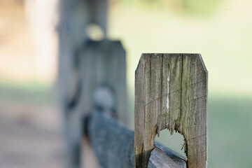 old wooden fence