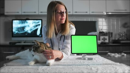 Digital tablet with green chroma key screen next to cat and veterinarian, stroking pet in veterinary clinic, before medical procedures. Slow motion.