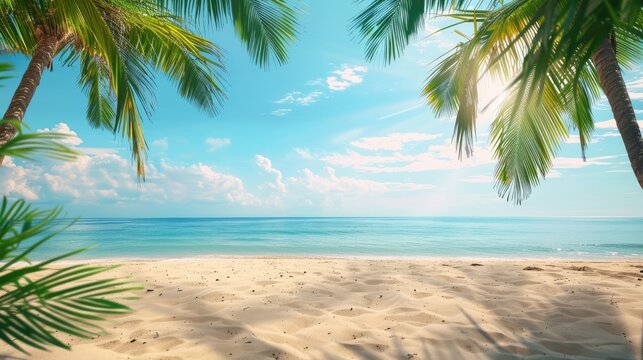 Summers Paradise A blurred background of a beautiful sandy beach with palm trees and a blue sky, a perfect summer vacation concept banner