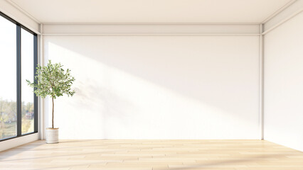 Minimalism style empty room with white wall and indoor plant. 3d rendering