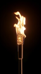A single torch burning brightly against a black background