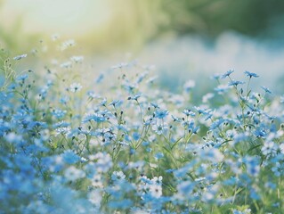 Field of delicate blue wildflowers in soft focus, creating a serene and tranquil natural scene.