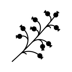 Branch with berries, vector icon. Wild meadow plant, hand drawn mistletoe silhouette. Festive decoration, symbol of Christmas, New Year. Botanical clipart, herb sketch. Black and white floral doodle