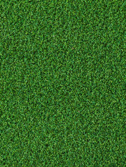 Artificial vibrant green grass doormat or rug for outdoor exterior home entrance texture or...