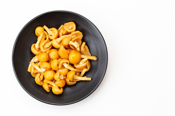 白背景にナメコ