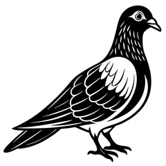 Vector illustration of a pigeon