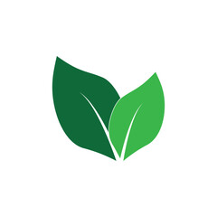 leaf  logo icon