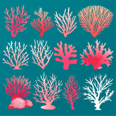 Simple 3D vectorial coral shapes