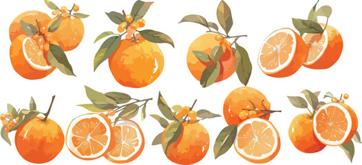 orange watercolor clipart	