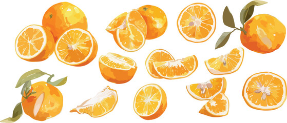 orange watercolor clipart	