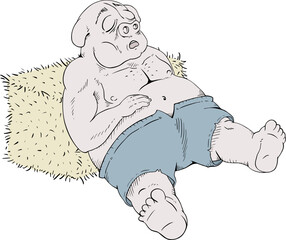 Sleeping fat pig