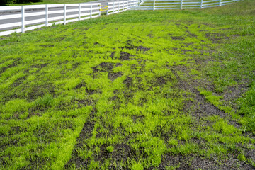 Farm pasture maintenance and refurbishment, weeds that livestock won’t eat removed and good soil...