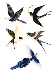 illustration of a bird