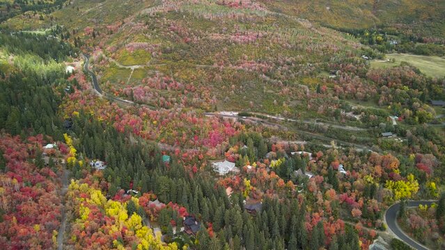 Scenic Mount Timpanogos landscape in Utah during autumn time with bright foliage.