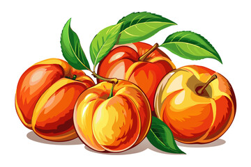 illustration of peaches on a branch