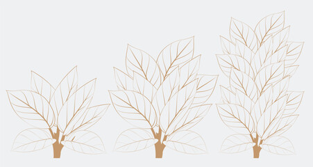 philodendron birkin © Sigit