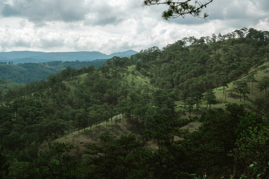Da Lat , Vietnam, 29 May 2024 , Da Lat is one of the beautiful city in Viet Nam