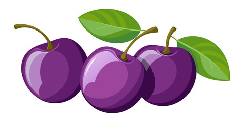 illustration of plums