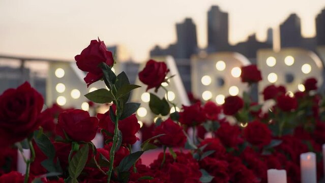 The romantic proposal includes Marry Me letters with rose petals and candles against a city skyline. The scenery creates a perfect setting for a special moment of commitment and love