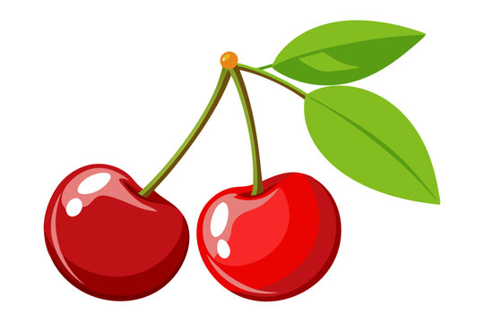 cherry with leaf