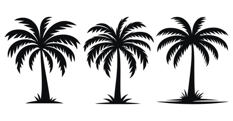 Fototapeta premium Set of Palm Tree silhouettes vector illustration Isolated on White Background