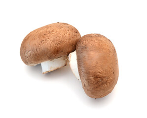 Common mushrooms on white background