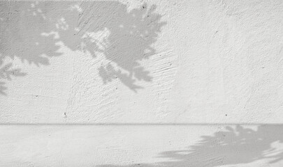 The floor and walls are white concrete. Shadows of leaves and branches. Natural pattern, light gray shadows and copy space. View perspective.