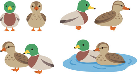 シンプルでかわいい鴨の雄雌イラストセット