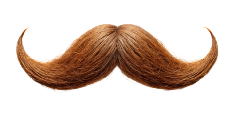 brown moustache isolated on transparent background